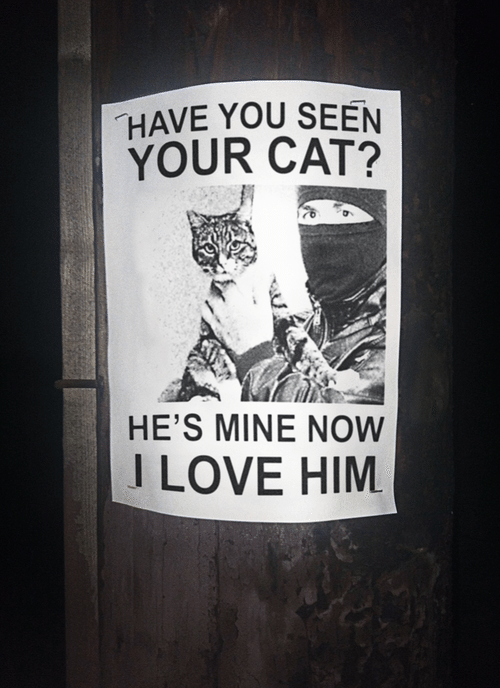 have you seen your cat it's mine now - Have You Seen Your Cat? He'S Mine Now I Love Him