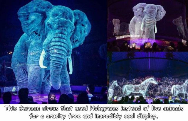 This German circus that used Holograms instead of live animals for a cruelty free and incredibly cool display.