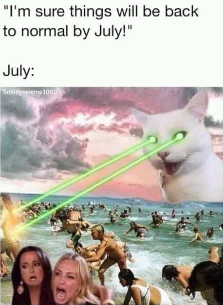 funny catzilla - "I'm sure things will be back to normal by July!" July Smudgemome3000