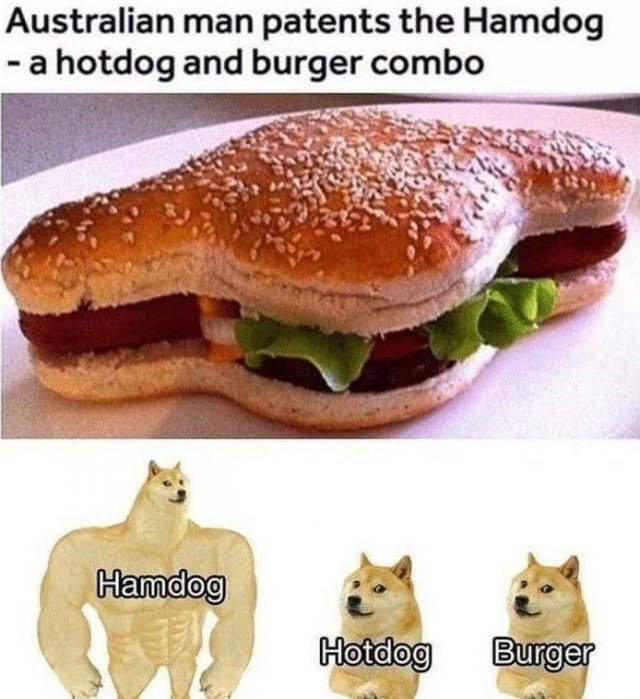 hot dog hamburger fusion - Australian man patents the Hamdog a hotdog and burger combo Hamdog Hotdog Burger