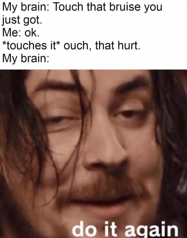 me my brain meme - My brain Touch that bruise you just got. Me ok. touches it ouch, that hurt. My brain do it again