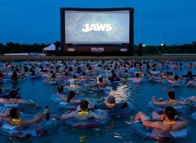 jaws movie in the water - Jaws Rolling Alar