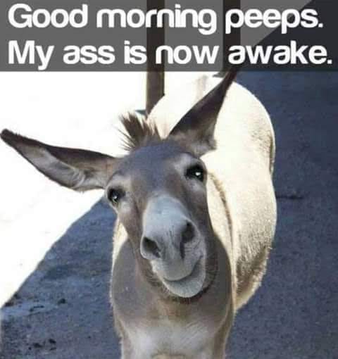 funny sorry - Good morning peeps. My ass is now awake.