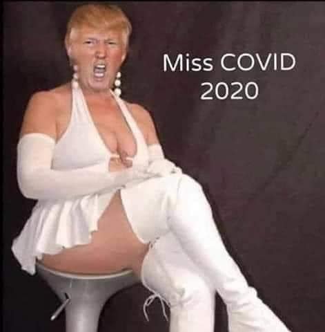trump drama queen - Miss Covid 2020
