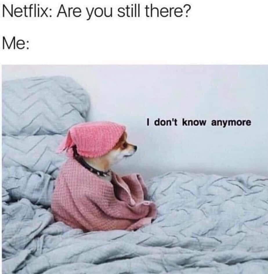 you still there netflix meme - Netflix Are you still there? Me I don't know anymore
