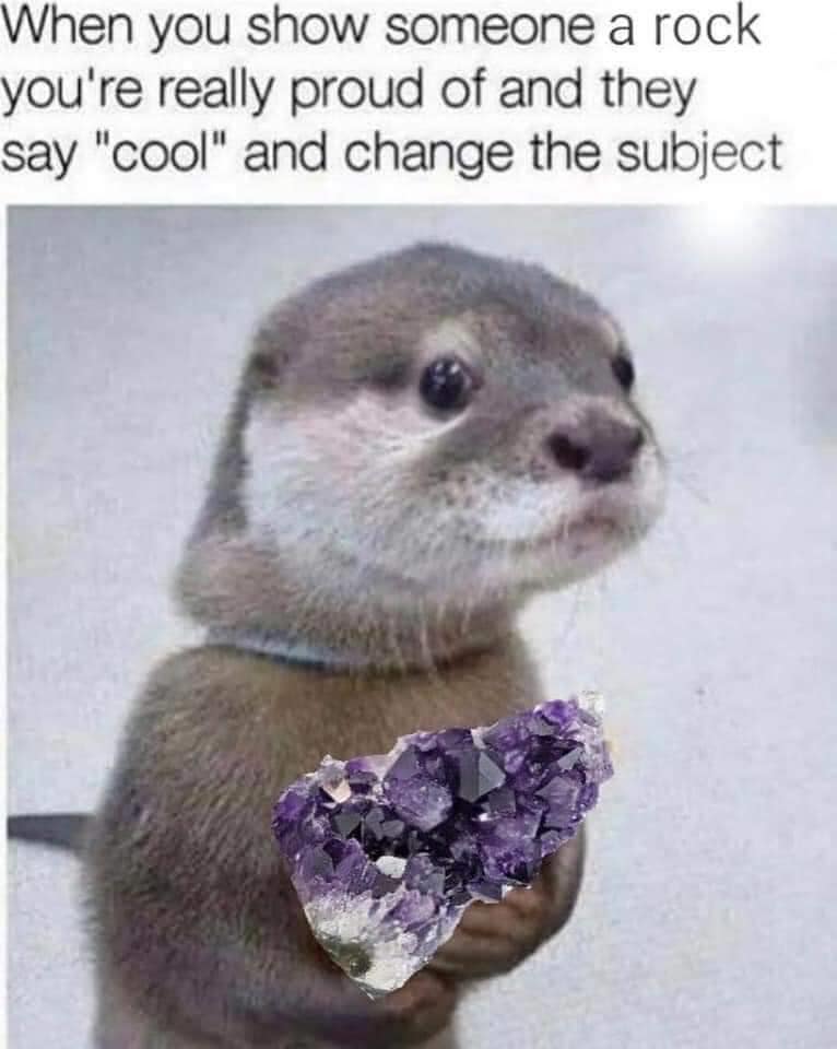 cute animal memes - When you show someone a rock you're really proud of and they say "cool" and change the subject