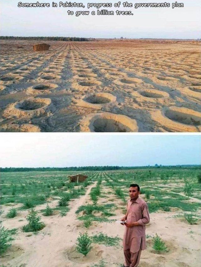 water resources - Somewhere in Pakistan, progress of the governments plan to grow a billion trees.