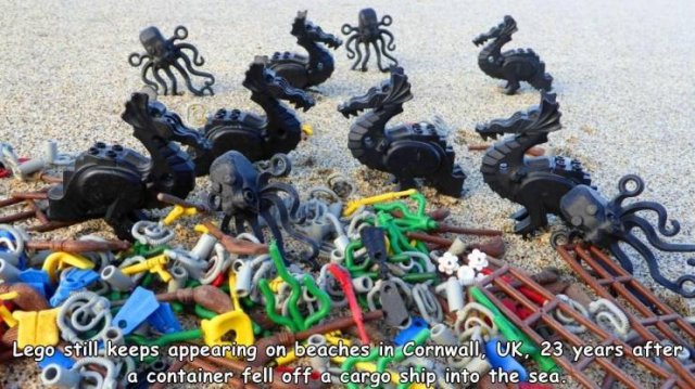 lego ocean pollution - In Lego still keeps appearing on beaches in Cornwall, Uk, 23 years after a container fell off a cargo ship into the sea.