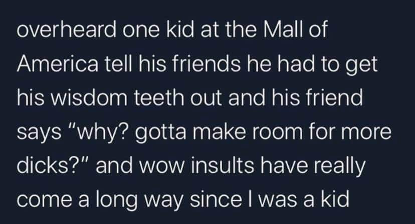 you re ignored quotes - overheard one kid at the Mall of America tell his friends he had to get his wisdom teeth out and his friend says "why? gotta make room for more dicks?" and wow insults have really come a long way since I was a kid