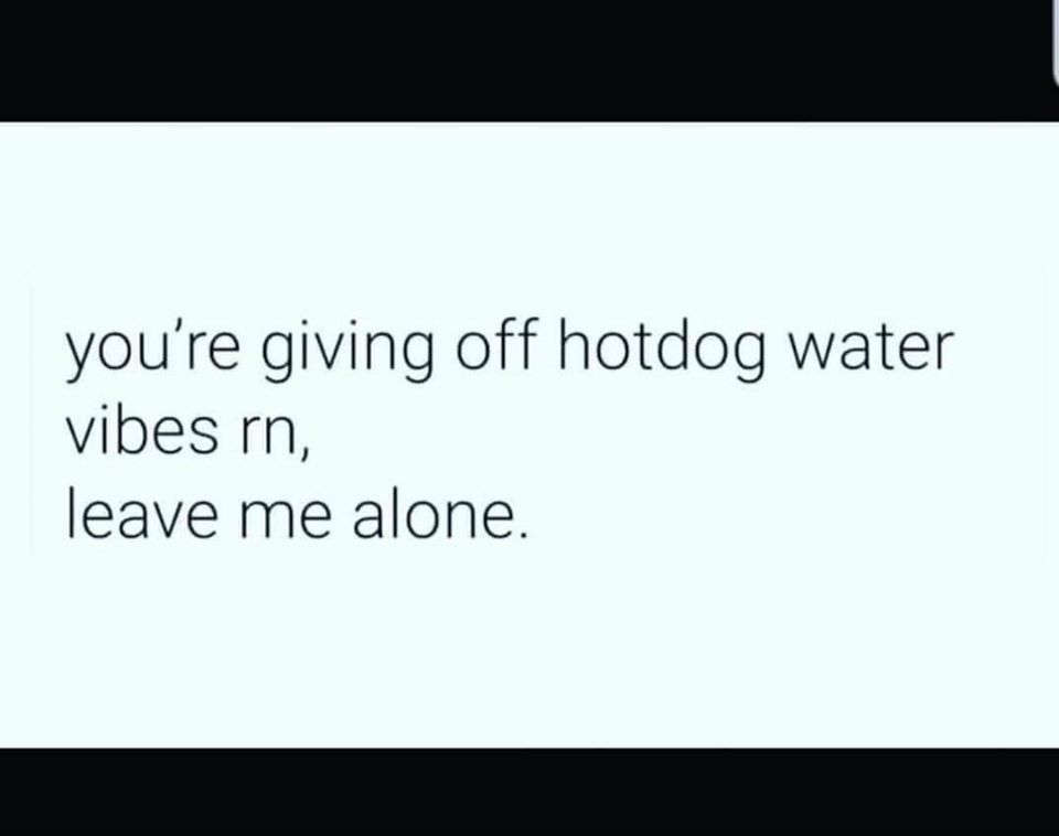 document - you're giving off hotdog water vibes rn, leave me alone.