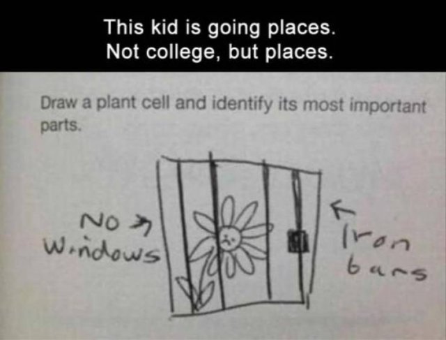 kids going places - This kid is going places. Not college, but places. Draw a plant cell and identify its most important parts. No >> Windows bars