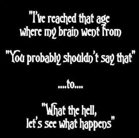 ve reached that age where my brain went from - "I've reached that age where my brain went from "You probably shouldn't say that" ....to.... "What the hell, let's see what happens"