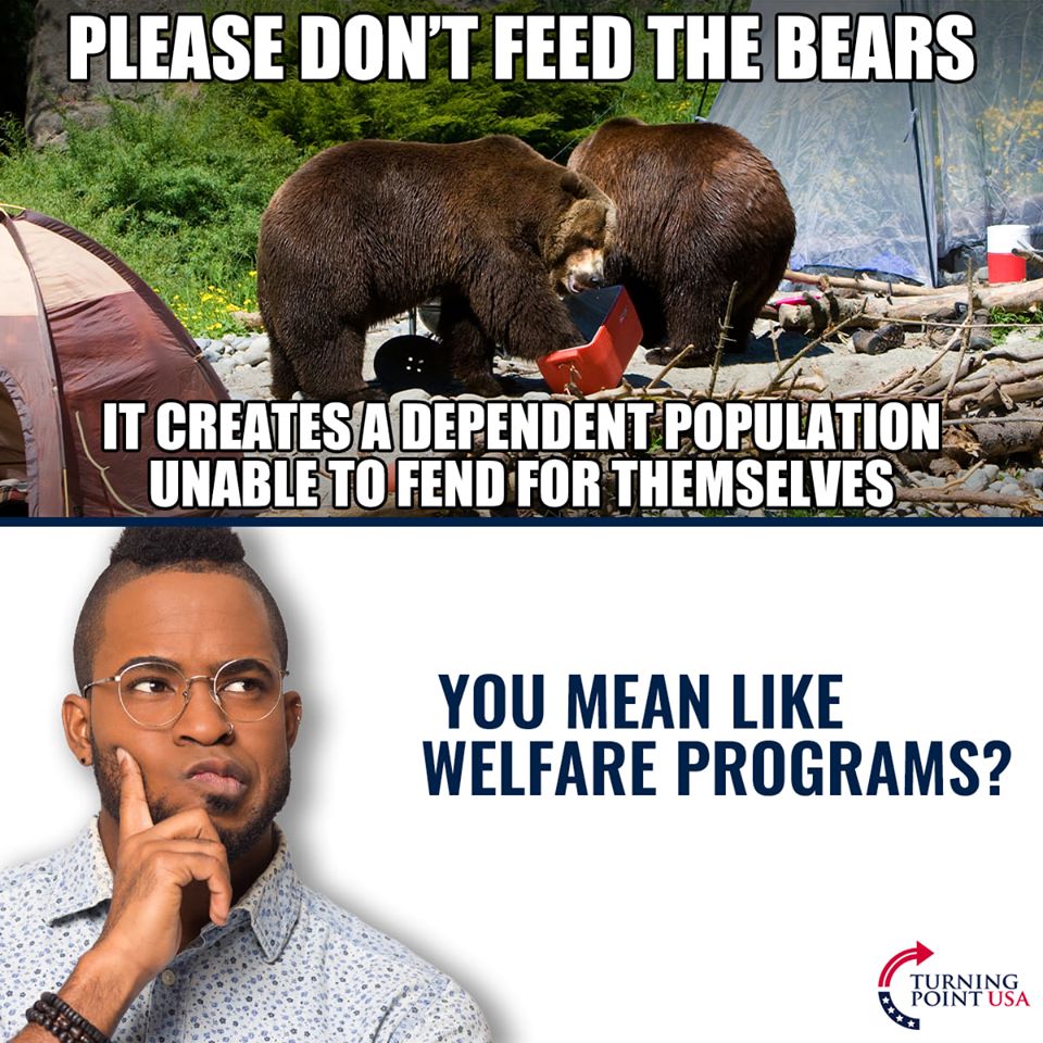 fauna - Please Don'T Feed The Bears It Creates A Dependent Population Unable To Fend For Themselves You Mean Welfare Programs? Turning Point Usa