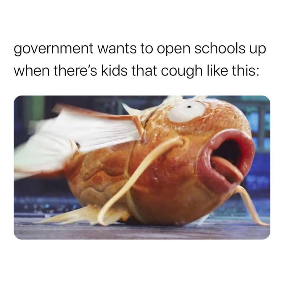 pokemon detective pikachu magikarp - government wants to open schools up when there's kids that cough this