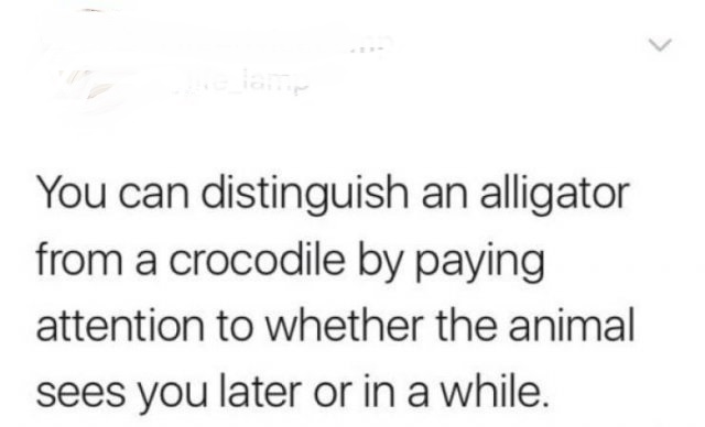 preventive medicine - lang You can distinguish an alligator from a crocodile by paying attention to whether the animal sees you later or in a while.