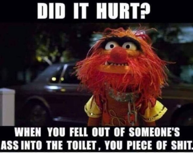 muppet animal drinking - Did It Hurt? og When You Fell Out Of Someone'S Ass Into The Toilet, You Piece Of Shit