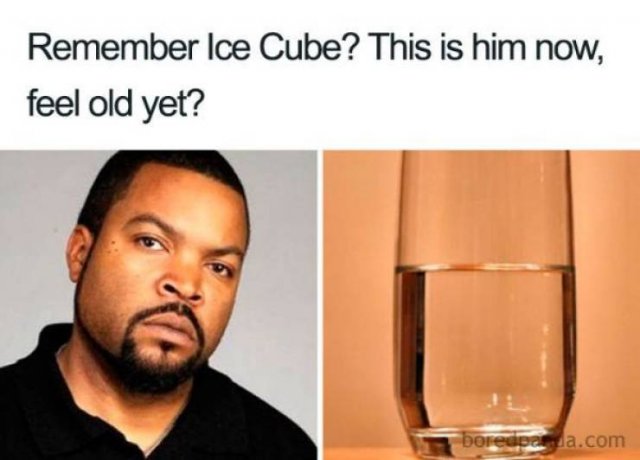 ice cube - Remember Ice Cube? This is him now, feel old yet? boredpeda.com