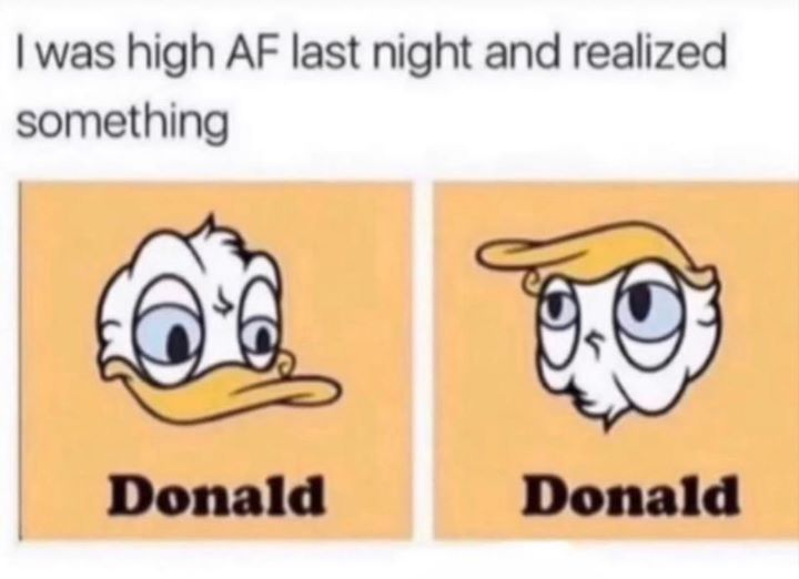 donald duck trump meme - I was high Af last night and realized something Donald Donald