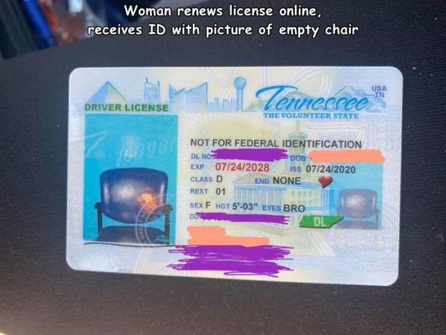 Driver's license - Woman renews license online, receives Id with picture of empty chair Tennessee Usa In Driver License The Volunteer State 2 Not For Federal Identification Dl No Dob Exp 07242028 iss 07242020 Class D End None Rest 01 Sex F Hgt 5'03" Eyes 