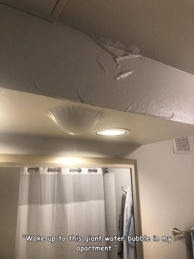 ceiling - "Woke up to this giant water bubble in my apartment."