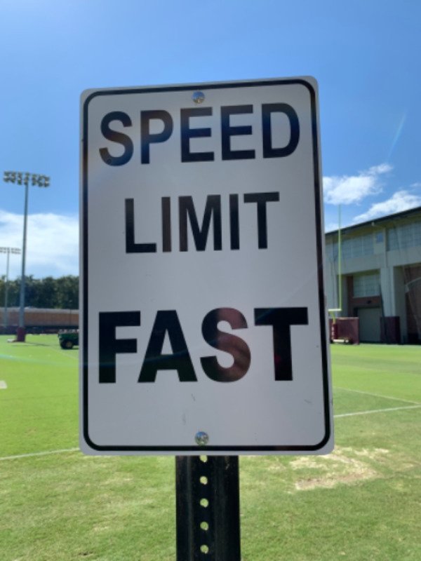 grass - Speed Limit Fast