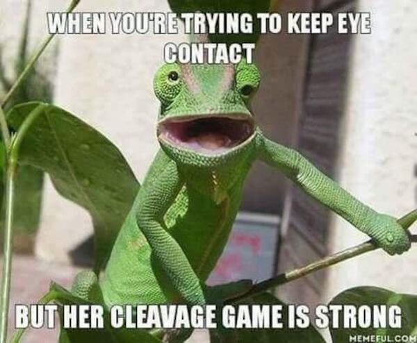 chameleon funny - When You'Re Trying To Keep Eye Contact But Her Cleavage Game Is Strong Memeful Com