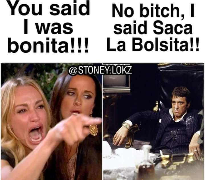 woman yelling at cat meme template - You said No bitch, I I was said Saca bonita!!! La Bolsita!! .Lokz