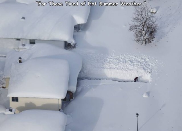 buffalo lake effect snow - "For Those Tired of Hot Summer Weather.