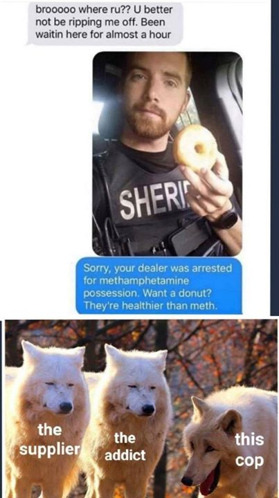 laughing wolves meme - brooooo where ru?? U better not be ripping me off. Been waitin here for almost a hour Sheri Sorry, your dealer was arrested for methamphetamine possession. Want a donut? They're healthier than meth. the the supplier addict this