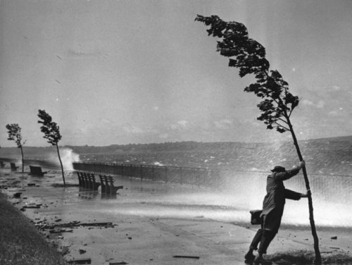 man holding tree in storm