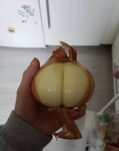 big onion booty