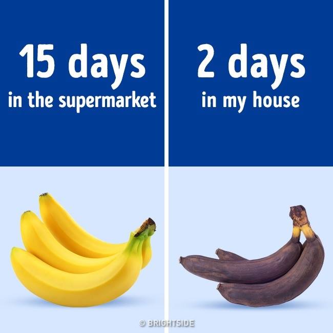banana - 15 days 2 days in the supermarket in my house Brightside