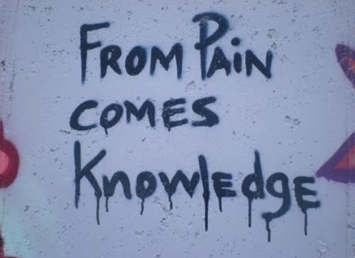 pain comes knowledge - From Pain Comes 9E