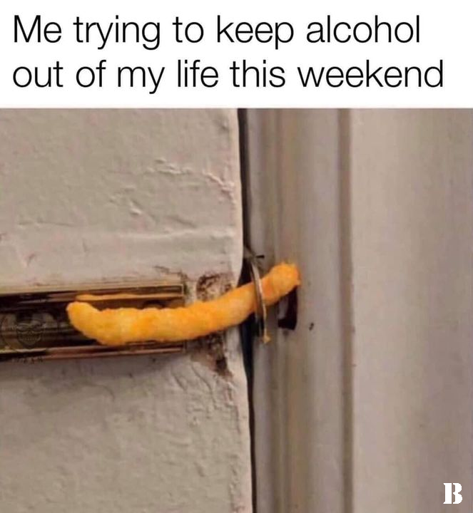 funny pics and memes - not financial advice - Me trying to keep alcohol out of my life this weekend B