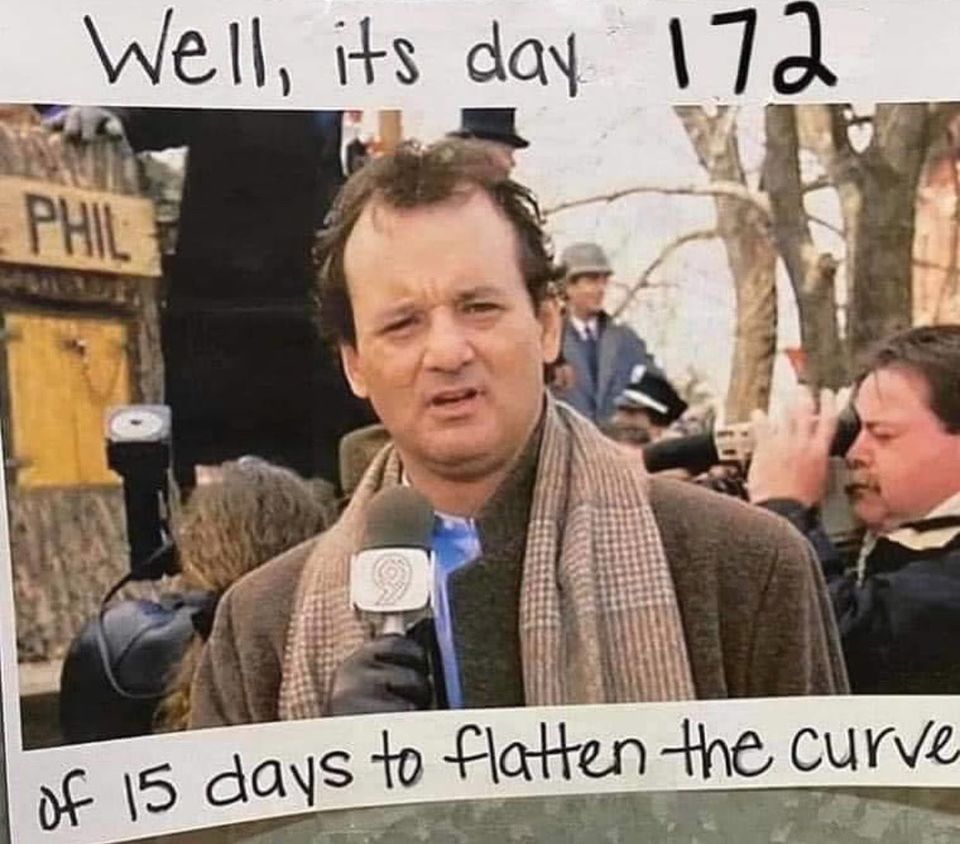 funny pics and memes - bill murray groundhog day - of 15 days to flatten the curve Well, its day 172 Phil