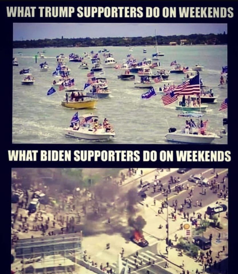 funny pics and memes - 100 percent positive - What Trump Supporters Do On Weekends What Biden Supporters Do On Weekends