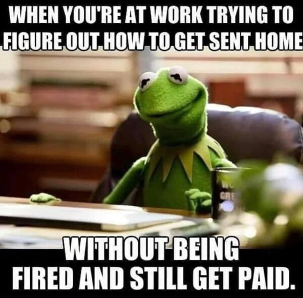 kermit the frog meme - When You'Re At Work Trying To Figure Out How To Get Sent Home Without Being Fired And Still Get Paid.