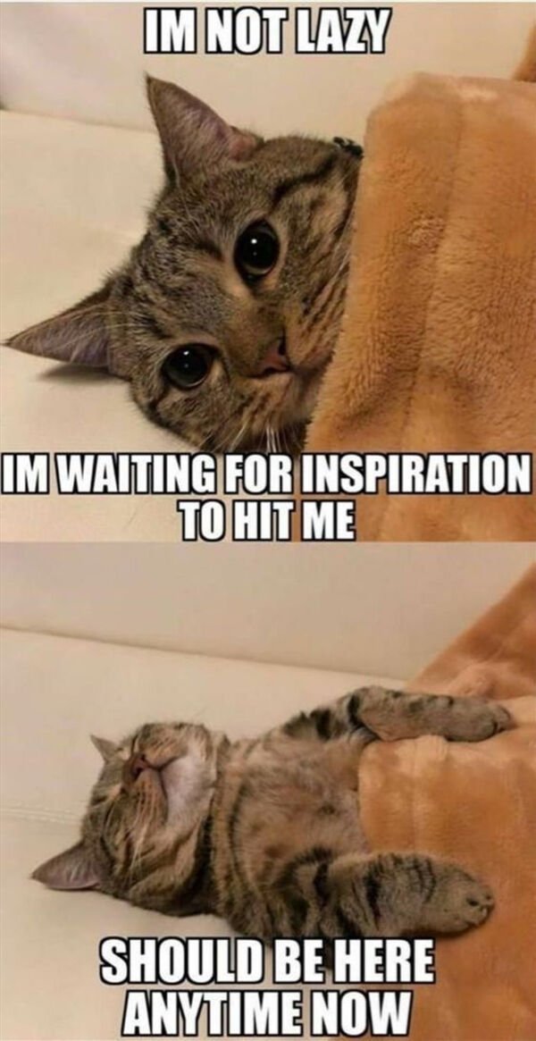 funny cat memes - Im Not Lazy Im Waiting For Inspiration To Hit Me Should Be Here Anytime Now