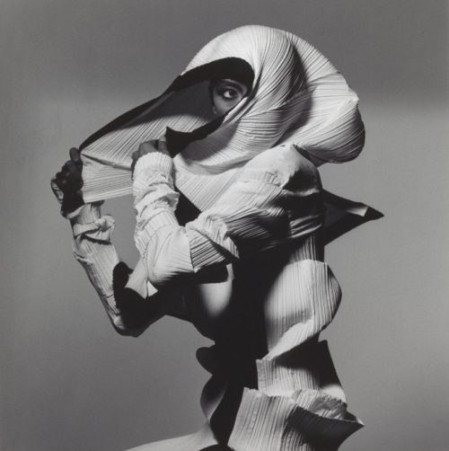 irving penn photography