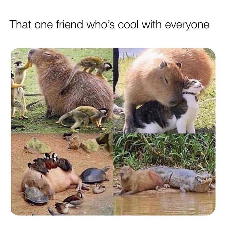 one friend who is cool with everyone - That one friend who's cool with everyone