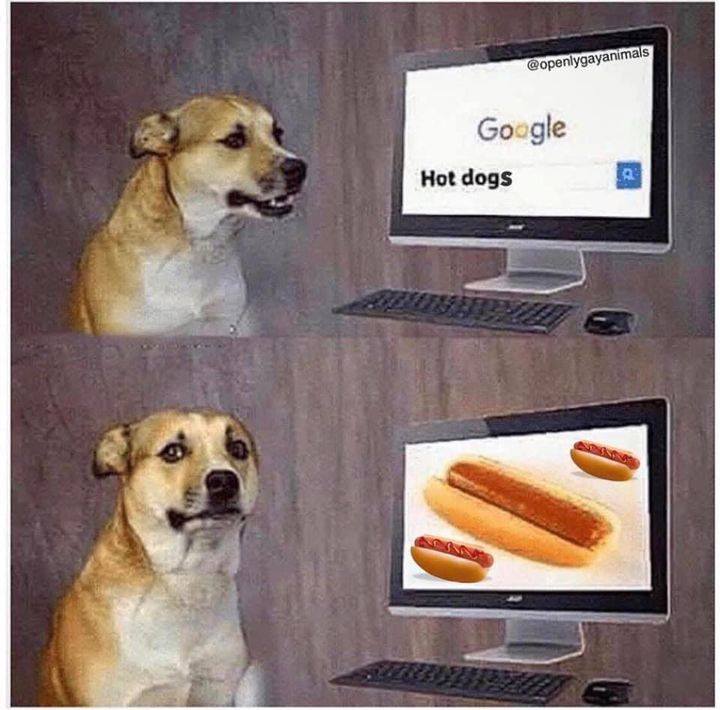 hot dog funny meme - Google Hot dogs