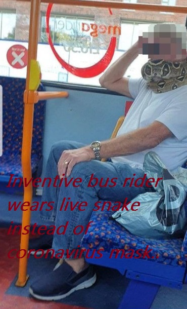 leisure - 90 Dom x Inventive bus rider wears live shine instead of bungan