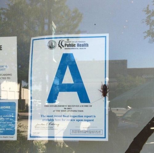 grade a restaurant - County Of Loans Public Health E Environmental Health Ortis Uest Egarding Cted To A Home id seafood This Establishment Reckived Ascore On 0100 At The Time Of Inspection The most recent food inspection report is aylable here for review 