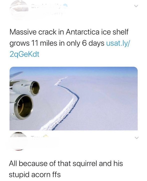 antarctica ice shelf larsen - Massive crack in Antarctica ice shelf grows 11 miles in only 6 days usat.ly 2qGeKdt All because of that squirrel and his stupid acorn ffs