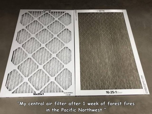 mesh - Szyl 16x25x1 16X25X1 "My central air filter after 1 week of forest fires in the Pacific Northwest."