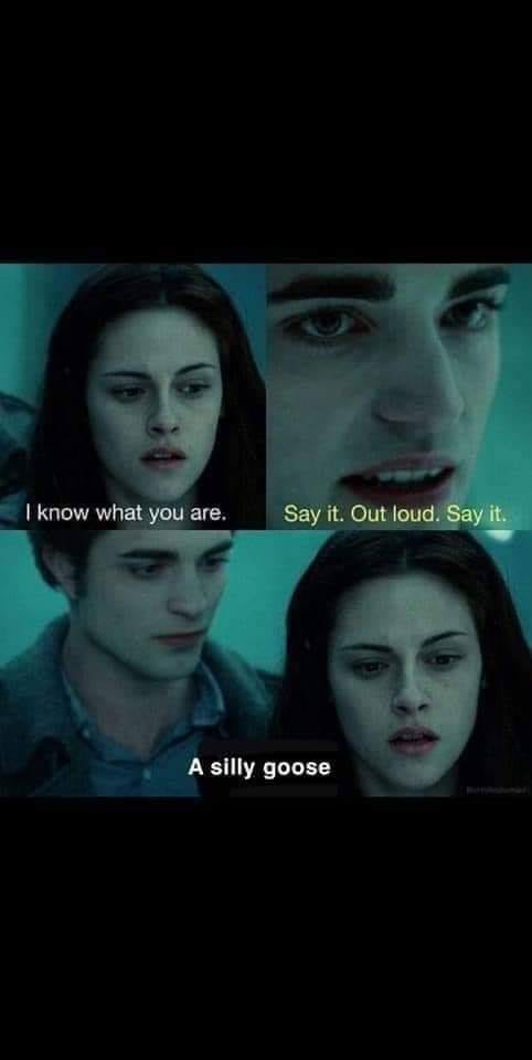 robert pattinson batman meme - I know what you are. Say it. Out loud. Say it. A silly goose