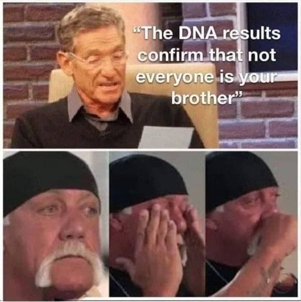 lie meme - "The Dna results confirm that not everyone is your brother"