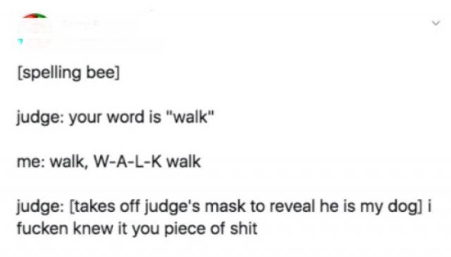 sad text messages - spelling bee judge your word is "walk" me walk, WALK walk judge takes off judge's mask to reveal he is my dog i fucken knew it you piece of shit