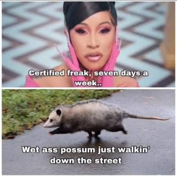 wet ass possum walking down the street - W a Certified freak, seven days week.. Wet ass possum just walkin down the street