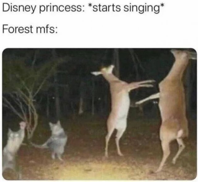 disney princess starts singing meme - Disney princess starts singing Forest mfs